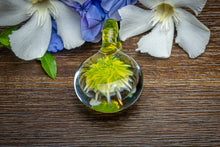 Load image into Gallery viewer, White Lotus Earth Green Pendant